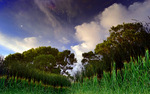 photo thumbnail #2