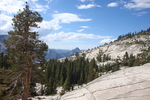photo thumbnail #1