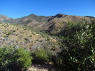 photo thumbnail #2