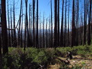 photo thumbnail #6