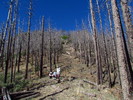 photo thumbnail #7