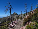 photo thumbnail #9