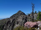 photo thumbnail #10