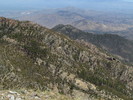photo thumbnail #13