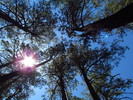 photo thumbnail #15