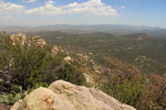 photo thumbnail #5