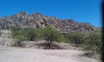 photo thumbnail #4