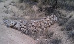 photo thumbnail #13