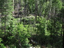 photo thumbnail #9