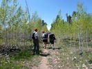 photo thumbnail #5