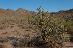 photo thumbnail #15