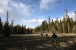 photo thumbnail #5