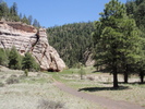 photo thumbnail #4
