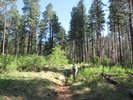 photo thumbnail #2