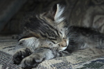 photo thumbnail #3