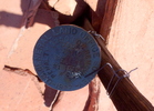 photo thumbnail #14
