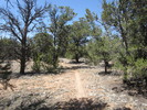 photo thumbnail #6