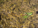 photo thumbnail #10