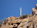 photo thumbnail #13