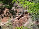 photo thumbnail #3
