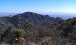 photo thumbnail #11