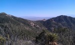 photo thumbnail #12