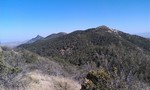 photo thumbnail #13