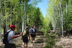 photo thumbnail #6