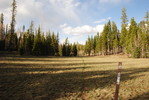 photo thumbnail #15