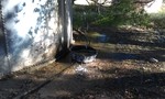 photo thumbnail #2