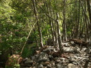 photo thumbnail #5