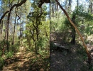 photo thumbnail #14