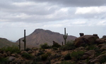 photo thumbnail #3