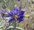 photo thumbnail #15
