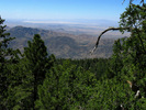 photo thumbnail #2