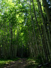 photo thumbnail #11