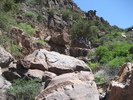 photo thumbnail #6