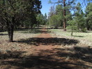 photo thumbnail #5