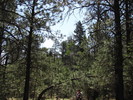 photo thumbnail #3