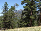 photo thumbnail #13