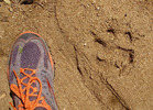 photo thumbnail #10