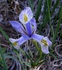 photo thumbnail #14