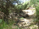 photo thumbnail #7