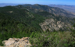photo thumbnail #8