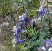 photo thumbnail #3