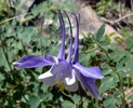 photo thumbnail #6