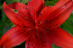 photo thumbnail #13