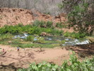photo thumbnail #14