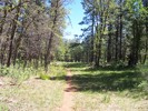 photo thumbnail #8