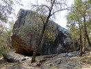 photo thumbnail #14
